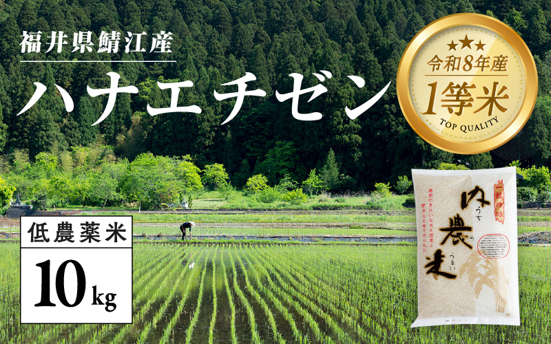 【令和8年産新米！】【先行予約】【2026年9月中旬以降順次発送予定】福井県産 内農米ハナエチゼン 10kg