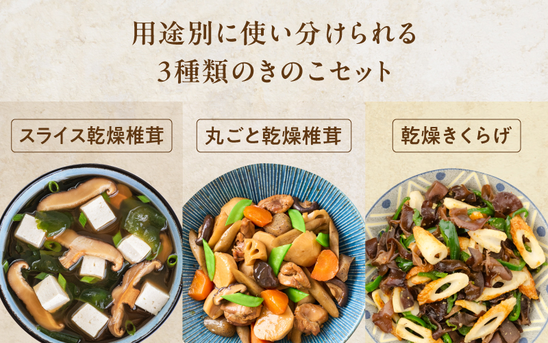 魃匁ア滄國繧悟ョカ縺阪ョ縺薙ョ荵セ辯・縺阪ョ縺難シ鍋ィョ繧サ繝繝