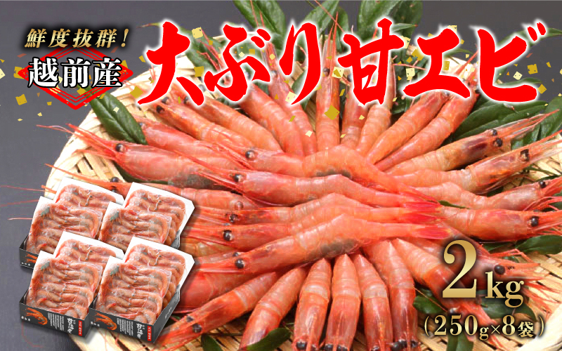 【小分け】越前産冷凍甘えび大サイズ 約250g × 8パック 合計約2.0kg
