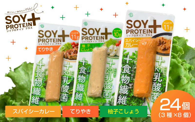SOY PROTEIN＋ ソイプロテインプラス バータイプ 各フレーバー8個　計24個 / スパイシーカレー / てりやき / 柚子こしょう