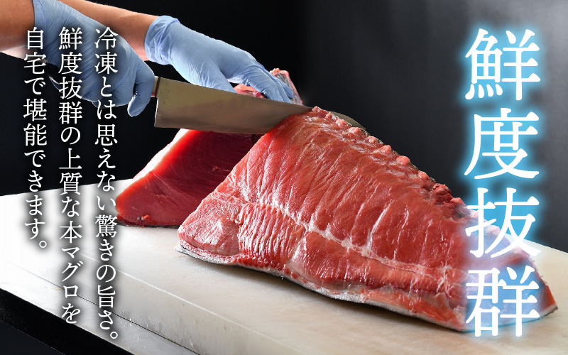 【刺身用】本マグロセット（大トロ 300g + 中トロ 300g + 赤身 300g）計900g【最新の冷凍技術】