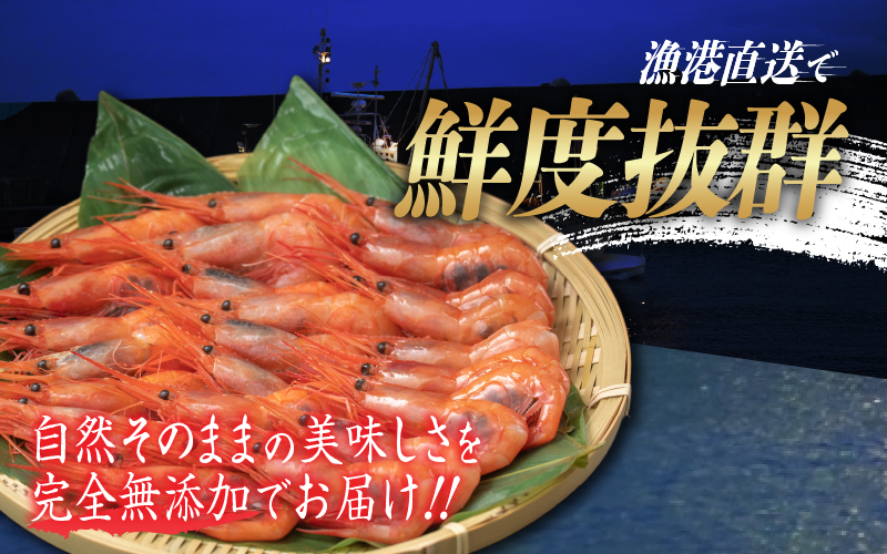 【小分け】越前産冷凍甘えび 約250g × 6パック 合計約1.5kg