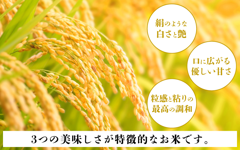 いちほまれ　パックご飯　18食