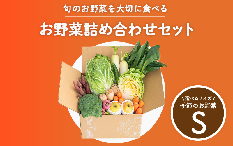多数のメディアで紹介されました！【訳あり】旬のもったいないお野菜詰め合わせセット Sサイズ