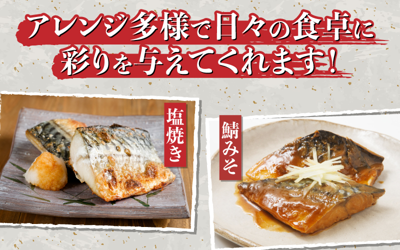 サバエのサバ！　鯖　無塩　冷凍切り身　600g