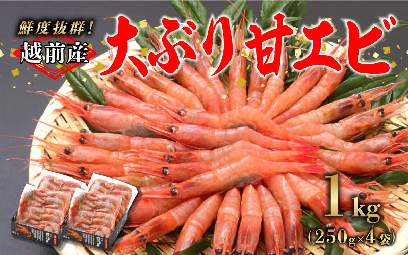 【小分け】越前産冷凍甘えび大サイズ 約250g × 4パック 合計約1.0kg
