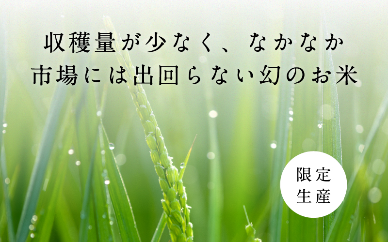 ã什å7幎ç£ããããŒã«èŸ²æ³ å®ç ç±³ ãã®ã¡ã®å£±