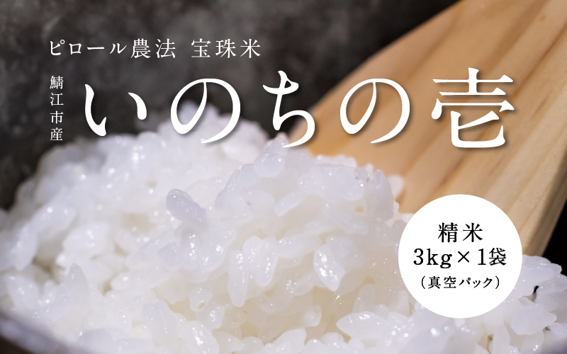 【令和7年産】ピロール農法 宝珠米 いのちの壱