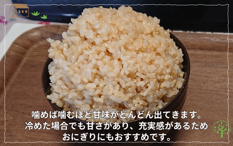 【新米・先行予約】【令和4年産】文殊米 コシヒカリ 白米 5kg（5kg × 1袋）真空パック【10月以降順次発送】