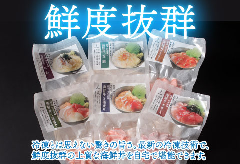 【6ヶ月連続お届け】【定期便】【刺身用】おまかせ海鮮丼の具 60g（タレ付）× 5人前 × 6回【最新の冷凍技術】