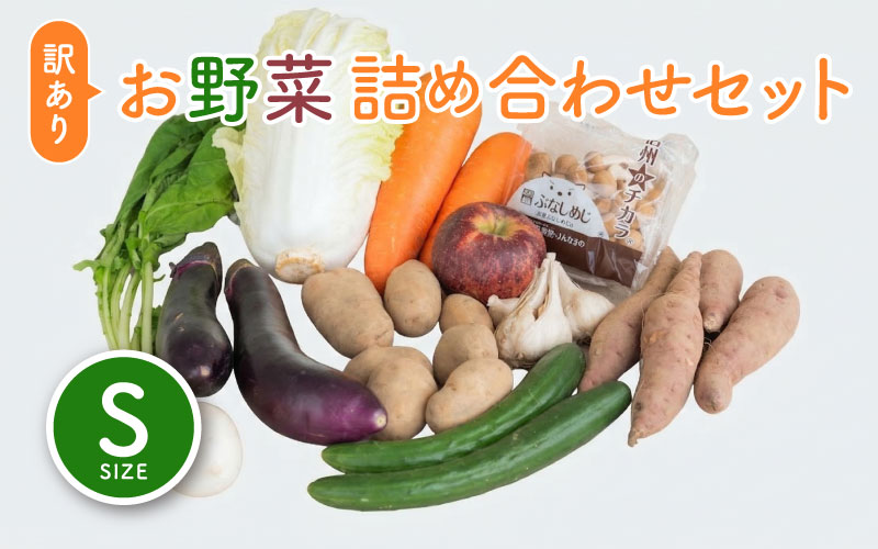 ＜ロスヘル＞多数のメディアで紹介されました！【訳あり】旬のもったいないお野菜詰め合わせセット Sサイズ