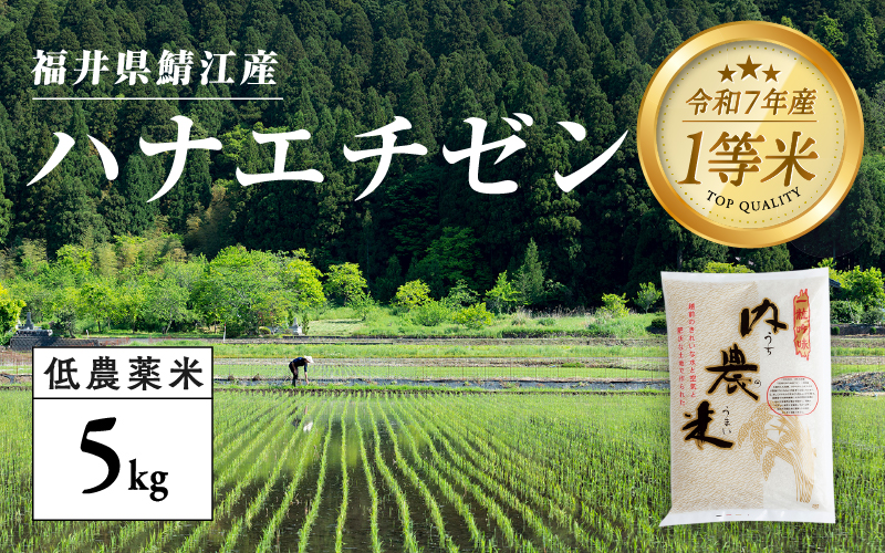 [令和7年産 新米!][2025年9月中旬以降 順次発送予定]福井県産 内農米 ハナエチゼン 5kg