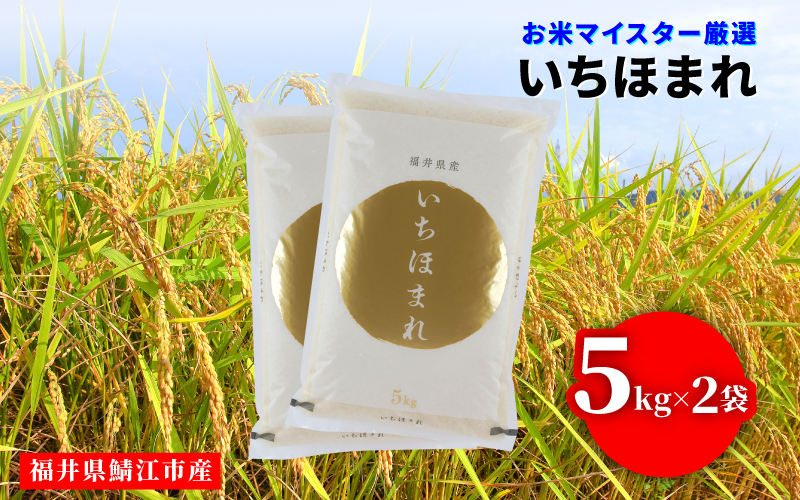 令和7年産 いちほまれ 10kg（5kg × 2袋）×1回