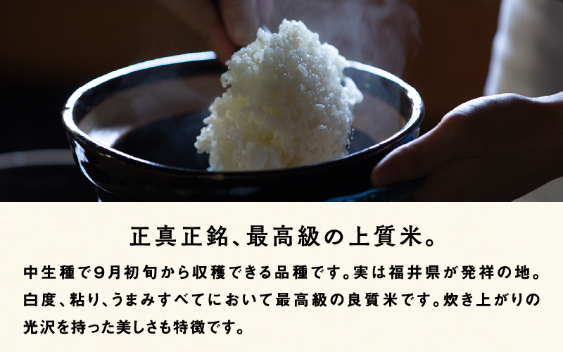 【令和7年産】福井県産 内農米 ハナエチゼン 5kg
