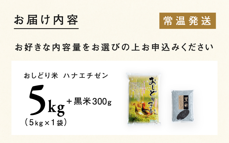 【令和6年産新米】福井県産 おしどり米 華越前 5kg  黒米300ｇ