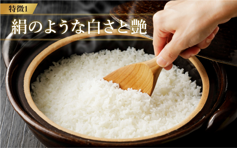 【寄付額見直し】令和7年産 いちほまれ 5kg（5kg × 1袋）