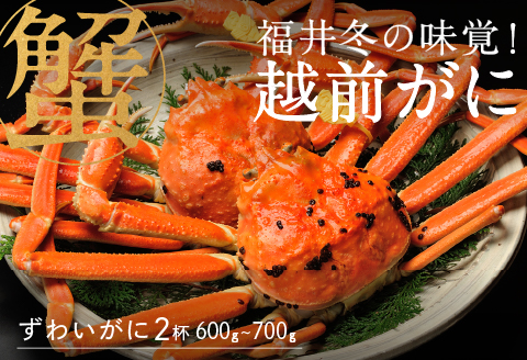 【産地直送】先行予約！ 福井冬の味覚！越前がに（600～700g × 2杯）2024年11月15日以降発送