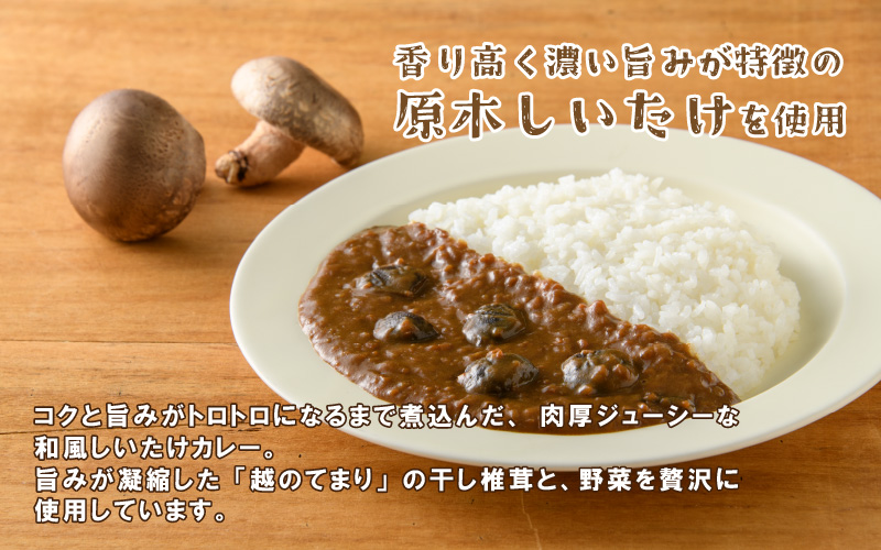 農家がつくったFARMER'sCURRY 200ｇ(1袋）×5袋