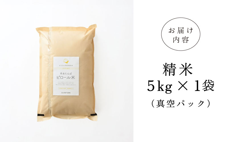 ã什å7幎ç£ããããŒã«èŸ²æ³ ã³ã·ãã«ãªç²Ÿç±³5kg ç空ããã¯