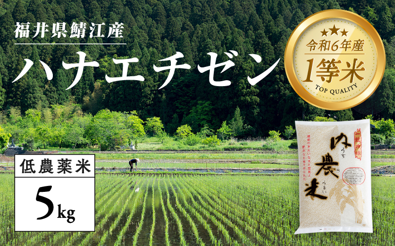 [令和6年産新米]福井県産 内農米 華越前 5kg 黒米300g2024年10月以降順次発送!