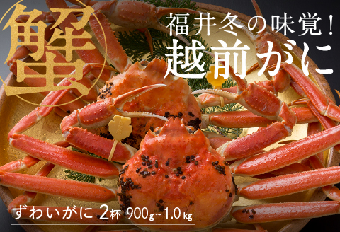 【産地直送】先行予約！ 福井の冬の王様！越前がに 900g〜1.0kg × 2杯  2024年11月15日以降発送