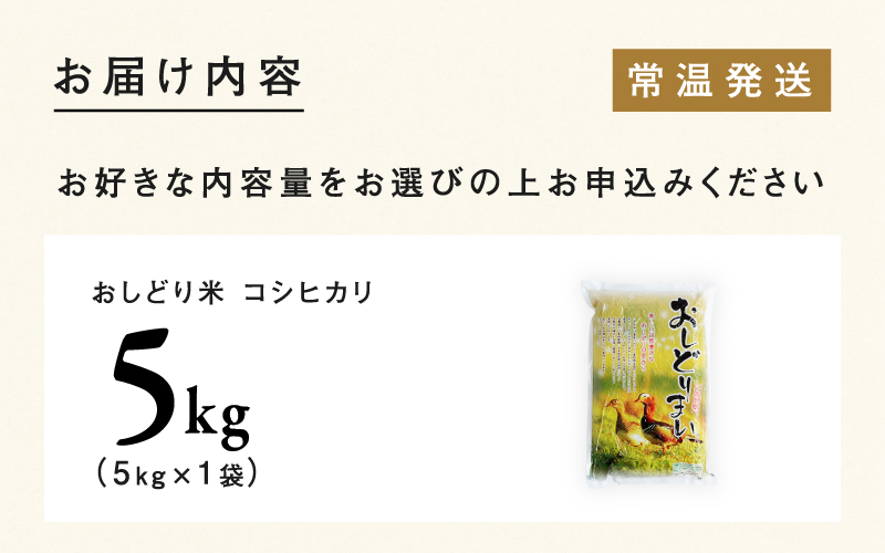 【令和7年産 】福井県産 おしどり米 コシヒカリ 5kg