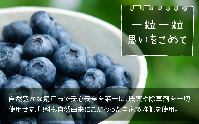 【訳あり】令和6年産〈冷凍〉手摘み有機ブルーベリー1kg（500g × 2パック）