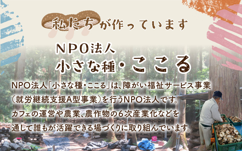 鯖江市産 原木乾燥椎茸「越のてまり」 （大・中サイズ）3パック &（小サイズ）2パック　計5パック