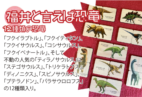 恐竜王国福井の恐竜絵合わせカード ～ 恐竜たちのイラストが迫力満点!! ～