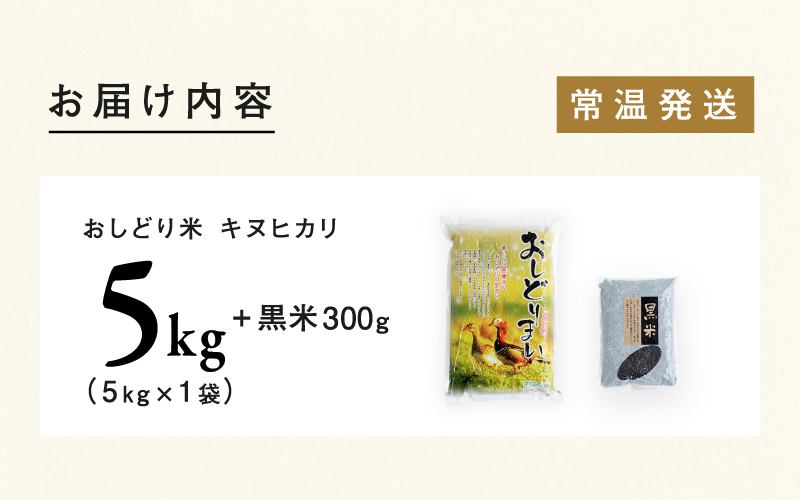 【令和6年産新米】福井県産 おしどり米 キヌヒカリ 5kg  黒米300ｇ 