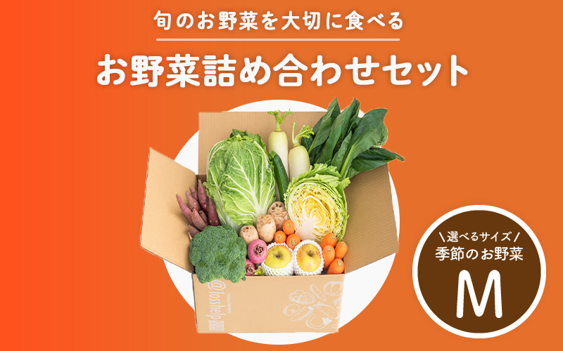 多数のメディアで紹介されました！【訳あり】旬のもったいないお野菜詰め合わせセット Mサイズ