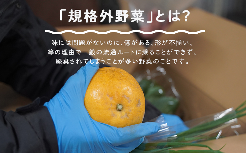 多数のメディアで紹介されました！【訳あり】旬のもったいないお野菜詰め合わせセット