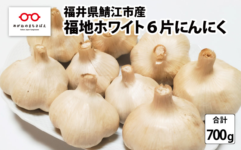 福井県鯖江市産 福地ホワイト6片 にんにく700g