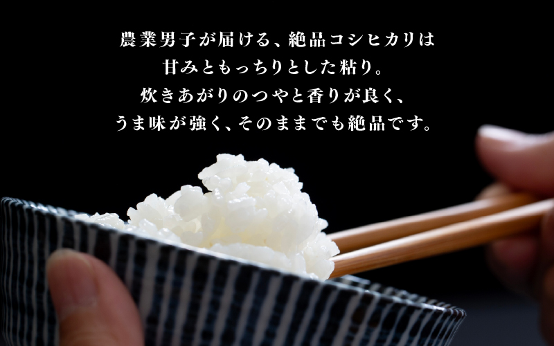 【数量限定！30袋限定販売！】＜2025年11月以降 順次発送予定＞令和7年産　コシヒカリ　通常便（1回配送）計10kg（5kg×2袋）