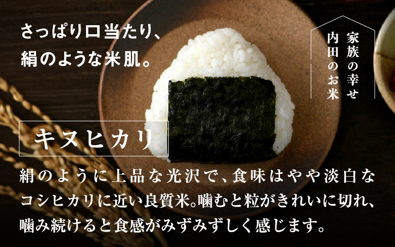 【令和6年産新米】福井県産 おしどり米 キヌヒカリ 5kg  黒米300ｇ 