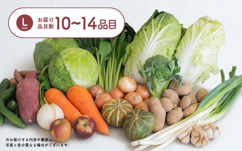 多数のメディアで紹介されました！【訳あり】旬のもったいないお野菜詰め合わせセット Lサイズ