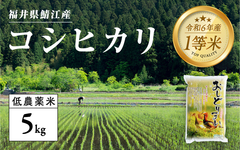 【令和6年産新米】福井県産 おしどり米 コシヒカリ 5kg  黒米300ｇ  