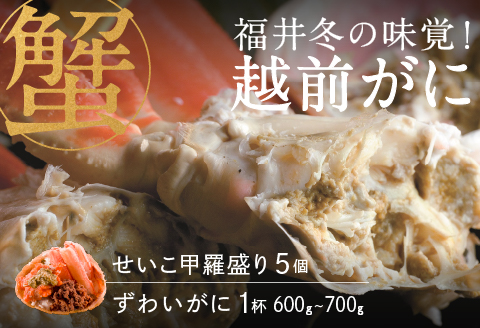 【産地直送】先行予約！ 福井冬の味覚！越前がに（ずわいがに活 600～700g 1杯） ＆ せいこ甲羅盛り5個　2024年11月15日以降発送