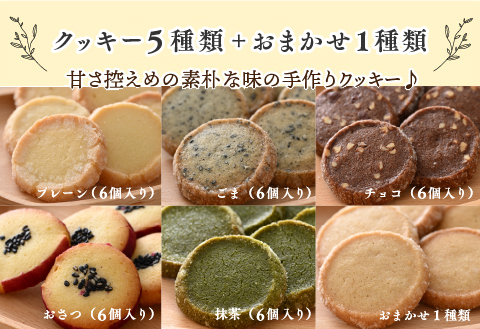 レアバウムクーヘンと手作りクッキー5種類＋おまかせ1種類