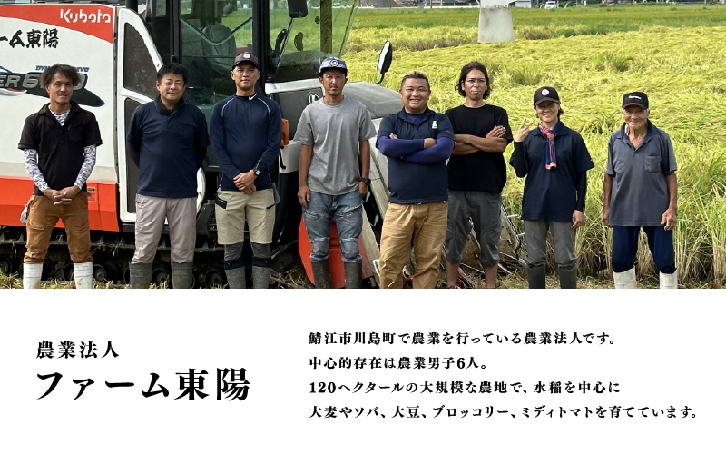 【数量限定！30袋限定販売！】＜2025年11月以降 順次発送予定＞令和7年産　コシヒカリ　通常便（1回配送）計10kg（5kg×2袋）