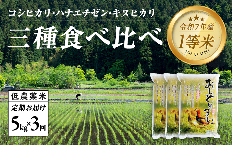 【令和7年産新米！】【3ヶ月連続お届け】福井県産 おしどり米 3種類食べ比べ定期便 5kg × 3回 計15kg