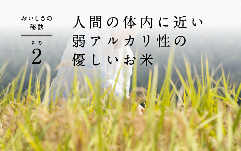 ã什å7幎ç£ããããŒã«èŸ²æ³ å®ç ç±³ ãã®ã¡ã®å£±