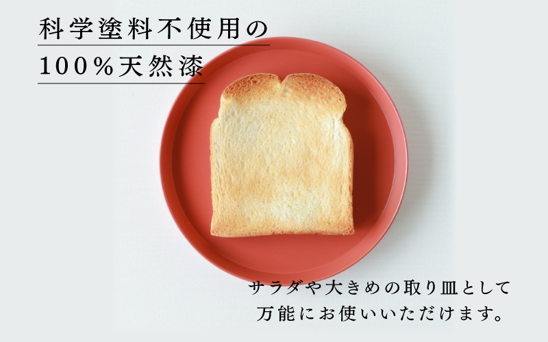 【RIN&CO.】越前硬漆 平皿M / 刷毛目技法 軽く丈夫な漆塗りの器＜越前漆器＞インディゴ（I-02）