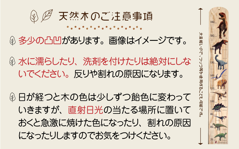 恐竜王国ふくいの木製身長計