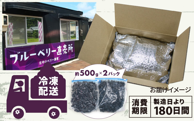 【訳あり】令和6年産〈冷凍〉手摘み有機ブルーベリー1kg（500g × 2パック）