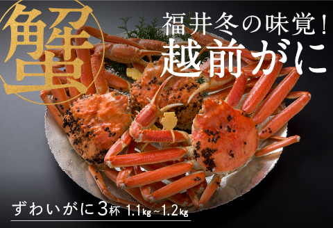 【産地直送】先行予約！ 福井の冬の王様！越前がに 1.1〜1.2kg × 3杯  2024年11月15日以降発送