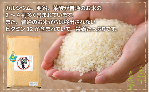 ã什å7幎ç£ããããŒã«èŸ²æ³ ã³ã·ãã«ãªç²Ÿç±³5kg ç空ããã¯