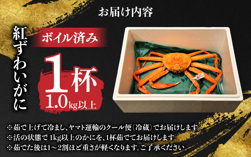 【産地直送】越前産　紅ずわいがに1.0kg以上×1杯