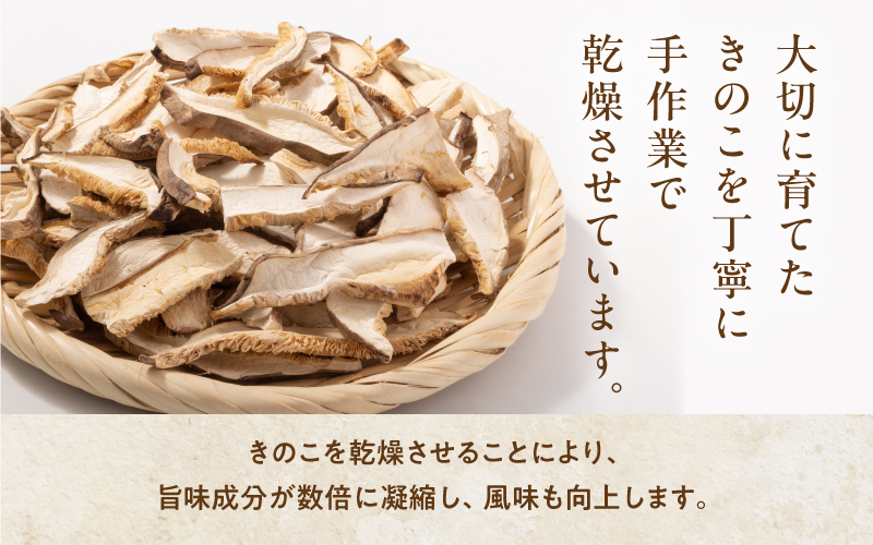 魃匁ア滄國繧悟ョカ縺阪ョ縺薙ョ荵セ辯・縺阪ョ縺難シ鍋ィョ繧サ繝繝