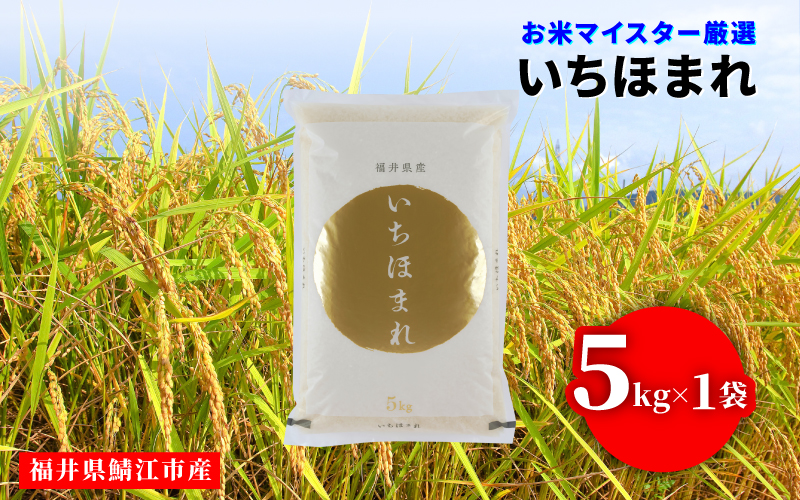 令和7年産 いちほまれ 5kg（5kg × 1袋）